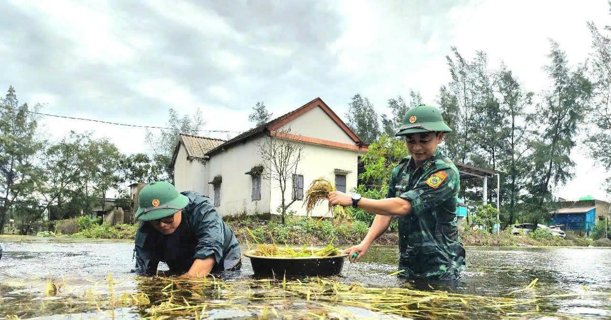 Hậu quả nghiêm trọng từ cơn bão số 10: Hàng trăm trường học tại Nghệ An bị thiệt hại nặng
