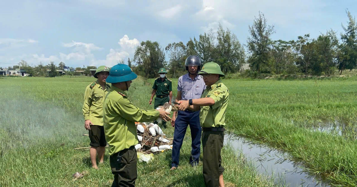 Quảng Trị: Tăng cường xử lý nạn săn bắt chim tự nhiên trái phép
