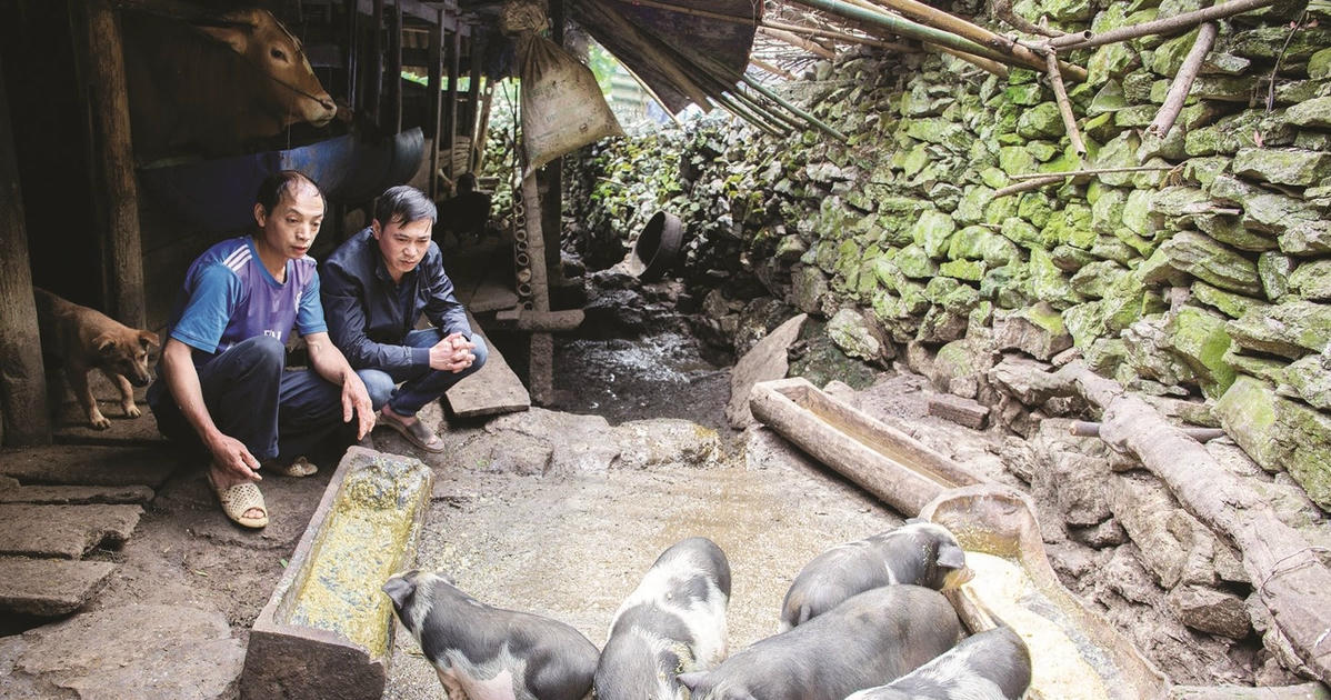 Đổi thay nhờ thực hiện tốt các hoạt động giám sát