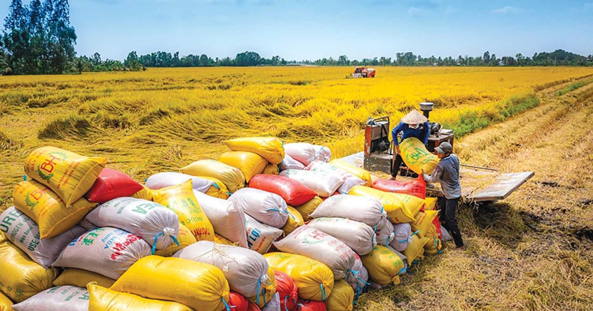 Lường trước rủi ro trong xuất khẩu nông sản Việt