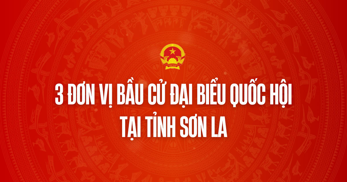 Infographic: 3 đơn vị bầu cử đại biểu Quốc hội tại tỉnh Sơn La