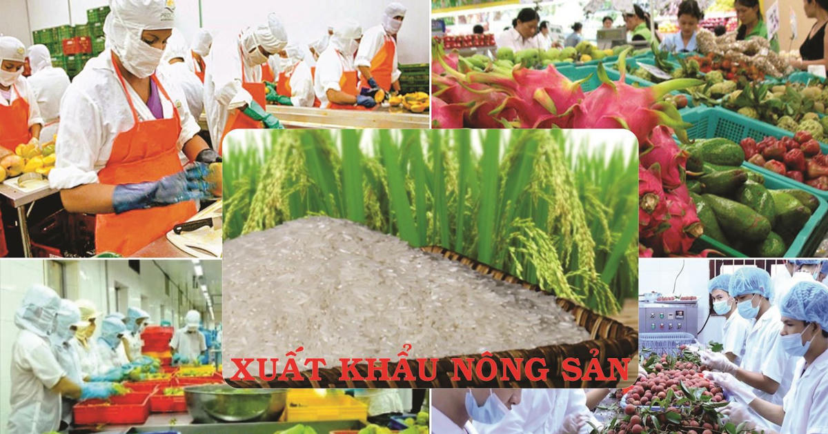 Tạo đà để ngành nông nghiệp bứt phá