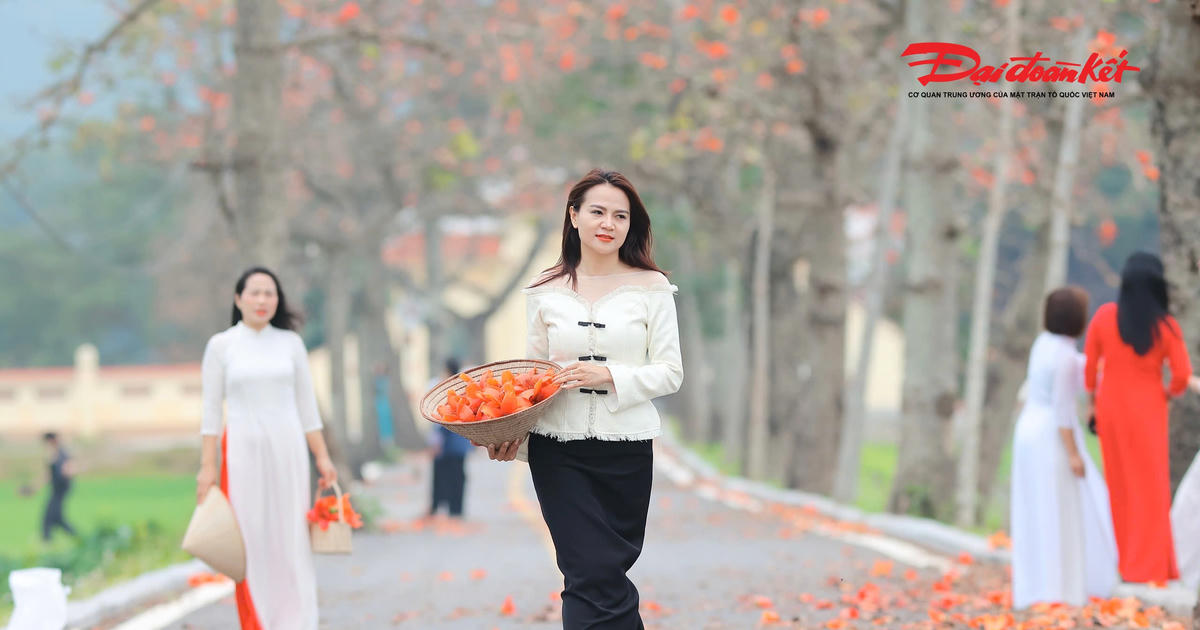 Đoan Nữ rực đỏ mùa hoa gạo