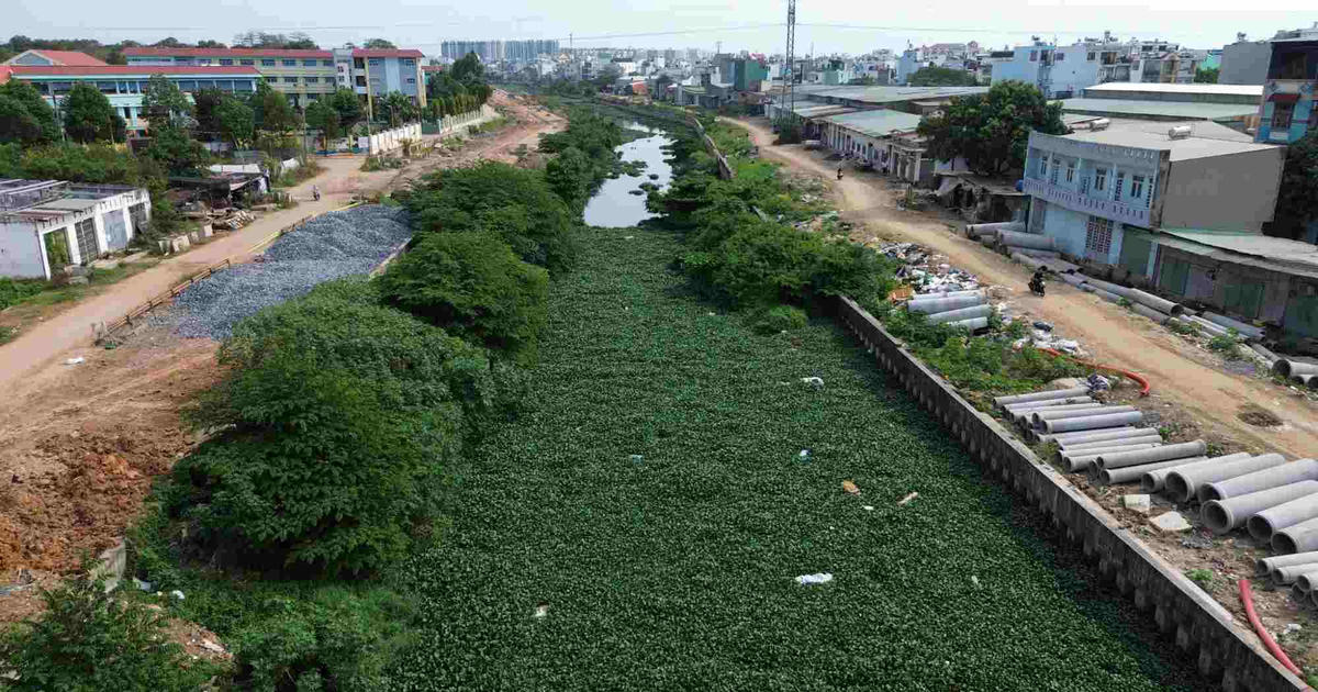 TP Hồ Chí Minh gỡ vướng dự án cải tạo kênh rạch