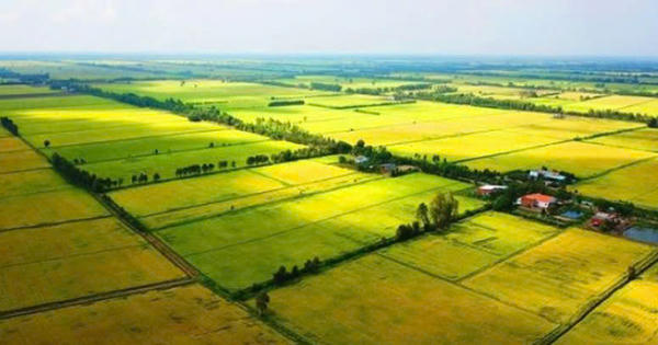 Cách tính tiền sử dụng đất khi chuyển sang đất ở theo quy định mới