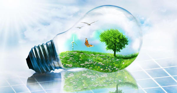 Phát động chiến dịch tiết kiệm năng lượng, thúc đẩy chuyển đổi xanh