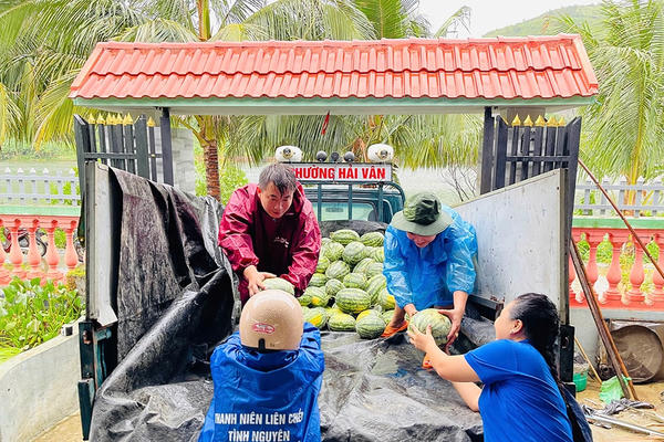 Đà Nẵng hỗ trợ nông dân tiêu thụ dưa hấu trước bão số 5