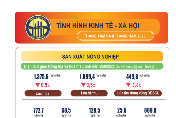 Infographics: Tình hình kinh tế - xã hội tháng 8 và 8 tháng năm 2025
