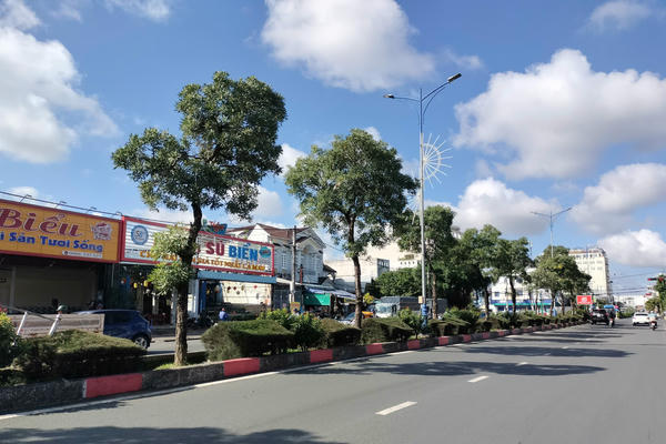 Công an Cà Mau rà soát các dự án cây xanh