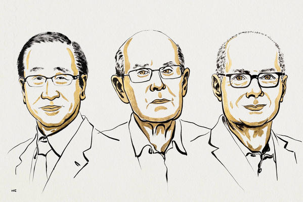 Nghiên cứu ‘khung kim loại-hữu cơ’ được trao giải Nobel Hóa học 2025