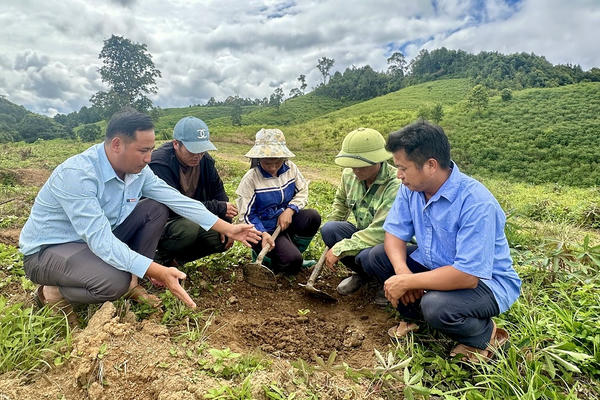 Chương trình mục tiêu quốc gia - Đòn bẩy phát triển vùng cao ở Điện Biên.