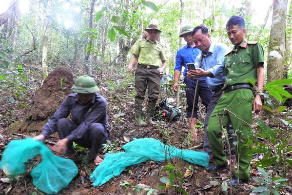 Gia Lai: Thả 4 cá thể động vật rừng quý hiếm về môi trường tự nhiên