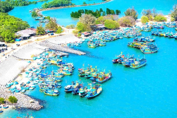 Hướng tới thành lập chính quyền đặc khu trong trường hợp đặc thù