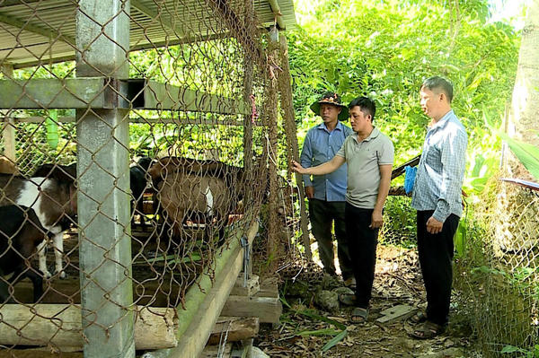 Đổi thay vùng đồng bào dân tộc thiểu số