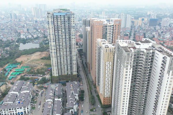 Đề xuất người trúng đấu giá đất rồi bỏ cọc bị cấm tham gia đến 10 năm