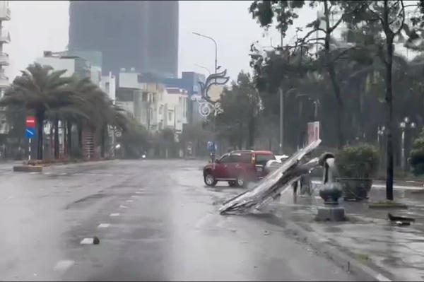 Bão số 13: Đặc khu Lý Sơn gió cấp 10, Gia Lai cây cối ngã đổ