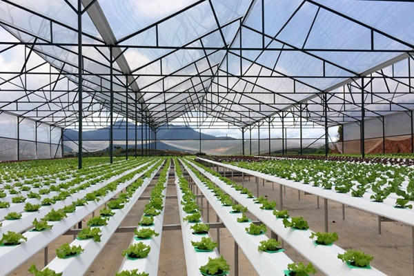 Khoa học - công nghệ: Mở ra không gian phát triển cho nông nghiệp Khoa học - công nghệ: Mở ra không gian phát triển cho nông nghiệp