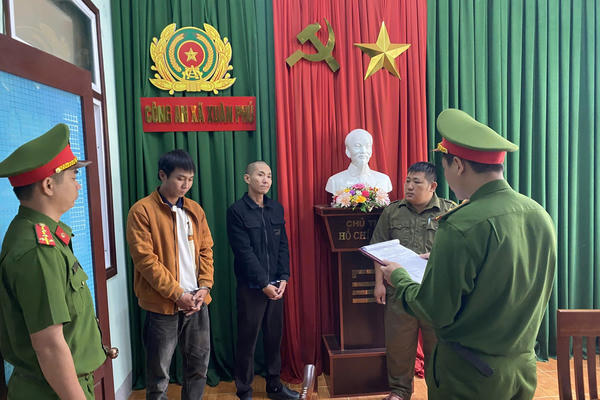 Đà Nẵng: Bắt 2 đối tượng trộm cây mai vàng 