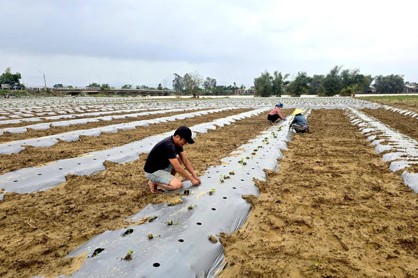 Gia Lai: Chung tay hướng tới cuộc sống mới Gia Lai: Chung tay hướng tới cuộc sống mới