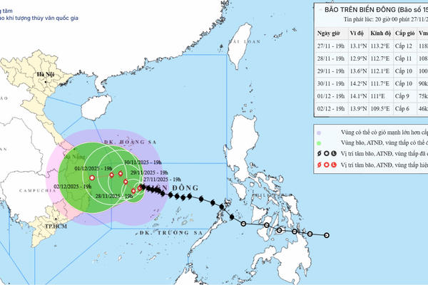Đảm bảo an toàn hệ thống đê điều ứng phó bão số 15