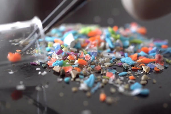 Ô nhiễm nhựa vi mô trong thực phẩm