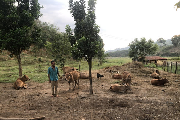 Tăng cường thông tin, vận dụng mạng xã hội để giảm nghèo