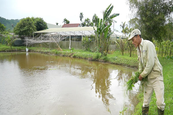 Phát huy vai trò của già làng trong phát triển kinh tế hộ gia đình