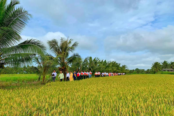 'Hái hoa dân chủ' trong đám cưới
