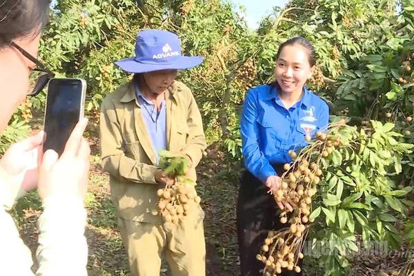 Người truyền lửa từ vườn nhãn An Tường Người truyền lửa từ vườn nhãn An Tường