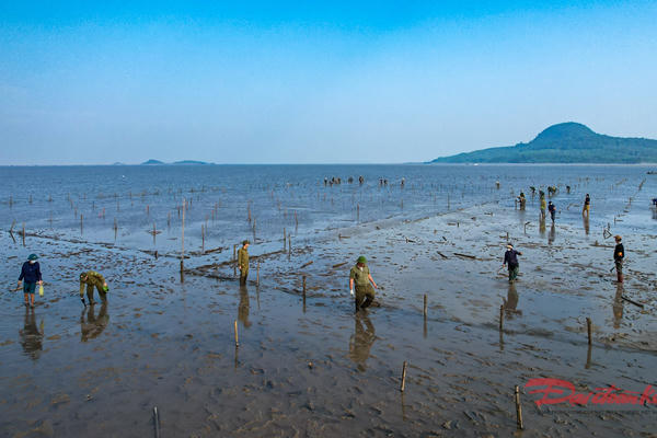 Quảng Ninh: Ra quân dẹp nạn lấn chiếm bãi triều, mặt nước Quảng Ninh: Ra quân dẹp nạn lấn chiếm bãi triều, mặt nước
