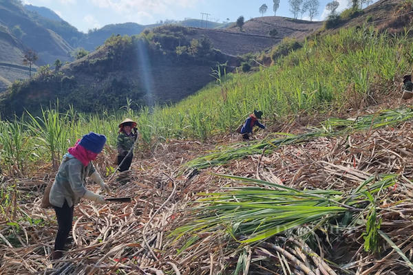 Khởi sắc từ Chương trình Mục tiêu quốc gia 1719