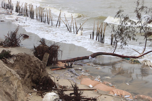 Đà Nẵng: Tan hoang bờ biển Hội An Tây