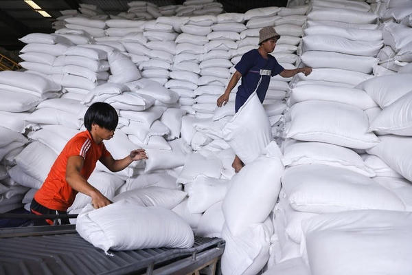 Tháo điểm nghẽn, tạo đà xuất khẩu gạo bền vững