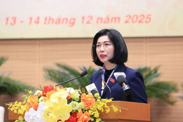 Hà Nội thông qua nghị quyết đầu tư các dự án lớn thể hiện tư duy trăm năm
