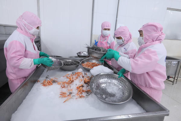 Ngành tôm đối diện nhiều áp lực Ngành tôm đối diện nhiều áp lực