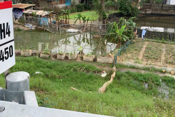 Tự mở lối lên cao tốc: Cần xử lý nghiêm Tự mở lối lên cao tốc: Cần xử lý nghiêm