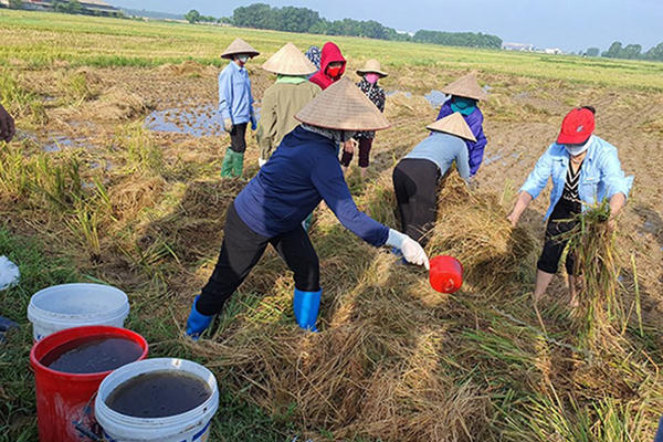 Lan tỏa những mô hình sáng tạo, bền vững của phụ nữ Lan tỏa những mô hình sáng tạo, bền vững của phụ nữ