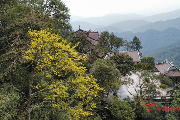 Chuỗi hoạt động tưởng niệm 717 năm Ngày nhập Niết bàn của Phật hoàng Trần Nhân Tông Chuỗi hoạt động tưởng niệm 717 năm Ngày nhập Niết bàn của Phật hoàng Trần Nhân Tông