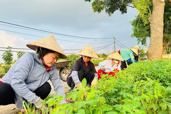 Dấu ấn tuyên truyền của Mặt trận ở cơ sở