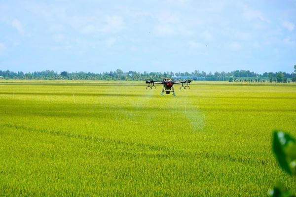 Xây dựng vùng nguyên liệu chuẩn cho nông sản