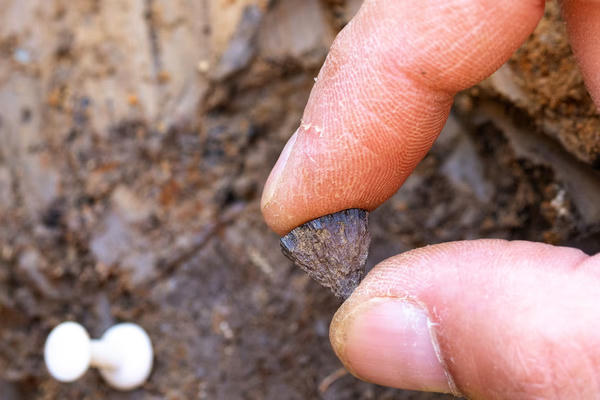 Phát hiện dấu vết người cổ đại sớm nhất chủ động tạo ra lửa