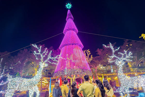 Đà Nẵng: Xứ đạo Hòa Sơn rực rỡ sắc màu Giáng sinh