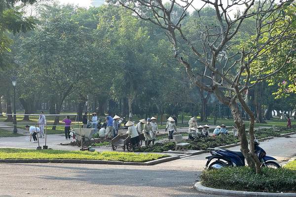 Hạ hàng rào, mở không gian công cộng