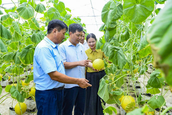 Giữ chuẩn, nâng chất trong xây dựng nông thôn mới ở Đồng Tiến