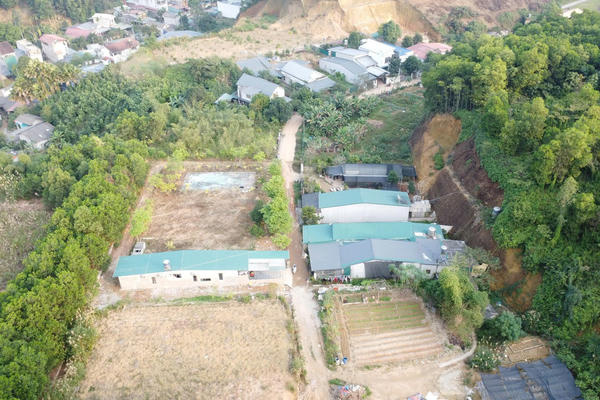 Lào Cai: Đất rừng Văn Phú bị phân lô có hợp pháp ?