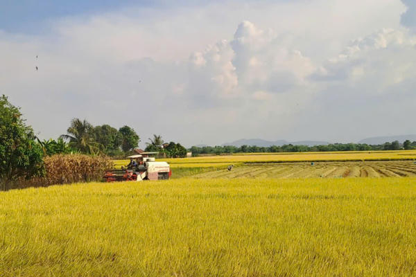 Thông tin giúp người dân xã biên giới thoát nghèo 