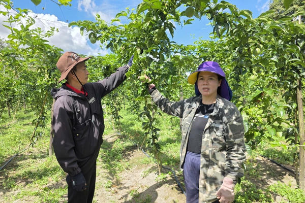 Nông sản Việt chinh phục EU 