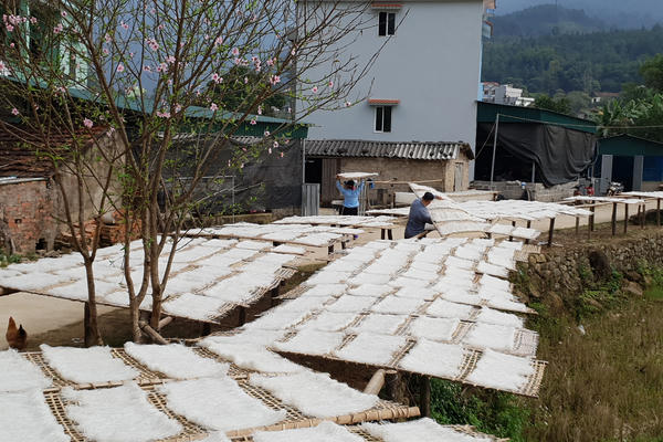 Xem người Sán Chỉ ở Bình Liêu làm miến dong