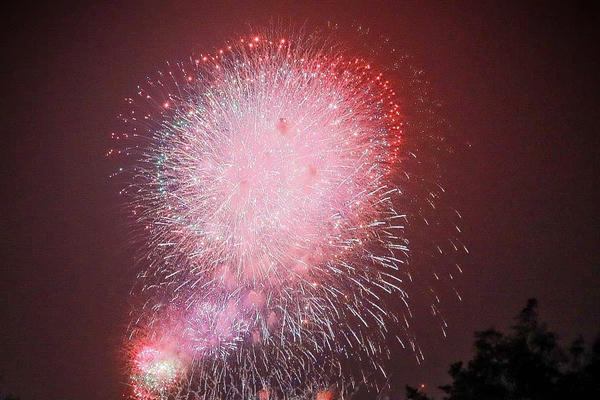  Pháo hoa rực sáng Hồ Gươm đón năm mới 2026