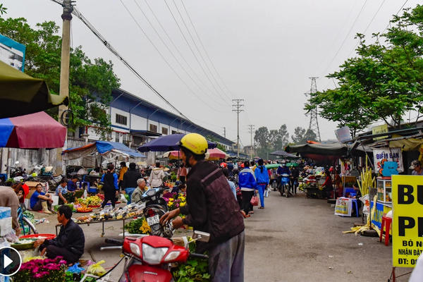 Hà Nội lên lộ trình giải quyết dứt điểm vấn nạn “chợ cóc” Hà Nội lên lộ trình giải quyết dứt điểm vấn nạn “chợ cóc”